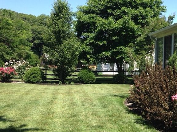 5th image of 31454 Red Mill Dr