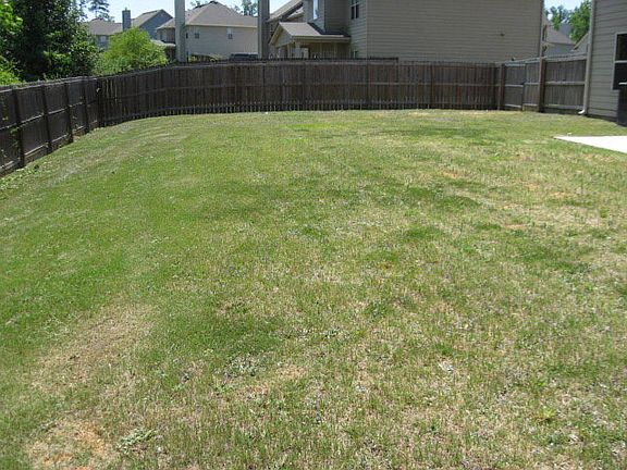 Large yard