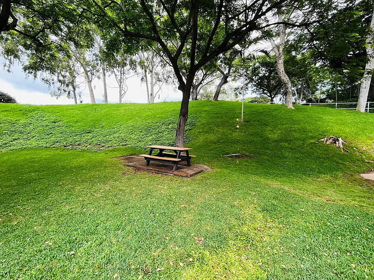 Waialae Ave — Photo 18