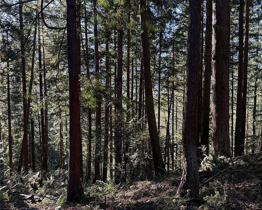 2nd image of 80 Sudden Valley Drive #A