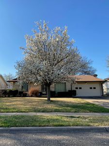 421 Beverly Dr, Richardson, TX, 75080