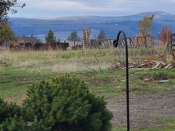 5th image of 680 Pleasant Valley Rd