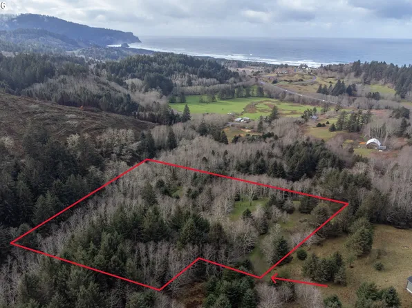 Aleolian Way, Neskowin, OR 97149