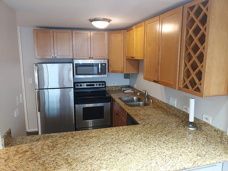 233 E Erie St #2409 — Photo 10