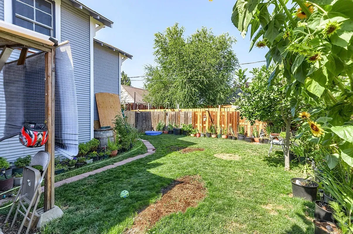 1 bed, $1,300 — Photo 2
