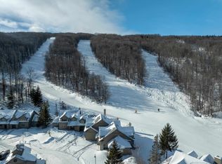 63 Alpine Way #B1, Ludlow, VT 05149