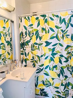 Rented by Citi Habitats | media 14