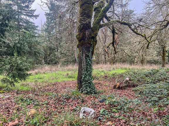 5th image of 1698 Doerner Rd