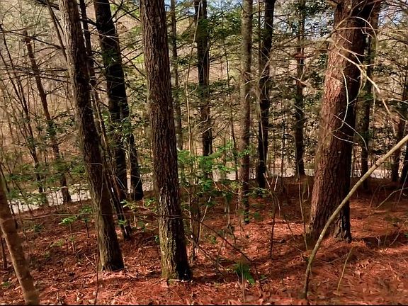 5th image of LOT 62 Choctaw Ridge Trl Lot Wp062