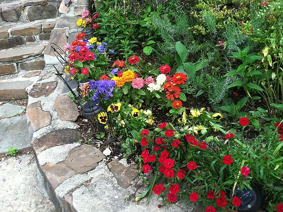 Front garden