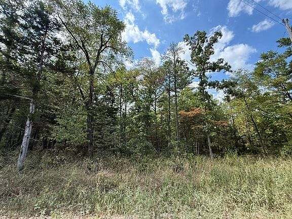 3rd image of 000 Texas Tower Road