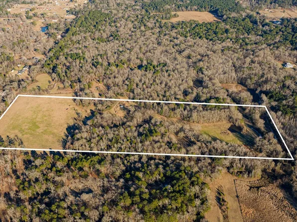 12698 Spider Lily Rd, Diana, TX 75640