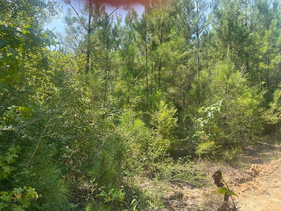 2nd image of 0 Walding Rd