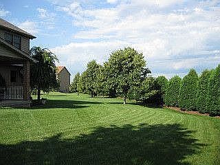 Partial Back Yard View