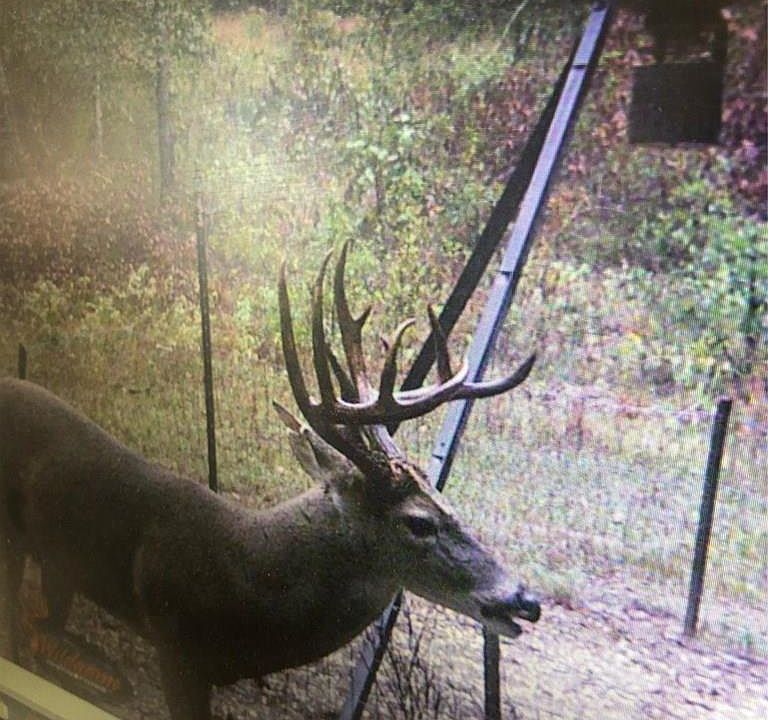 1st image of 1259 Vz County Road 2903