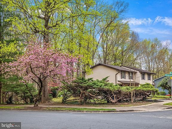 2nd image of 1301 Old Pine Ct
