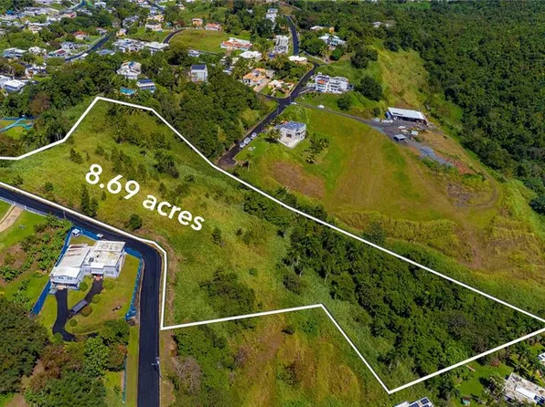 Bo Minillas Camino Pablo Silva, Bayamon, PR 00956