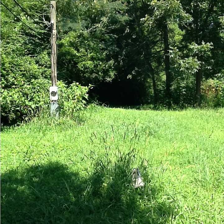1st image of 278 White Cir