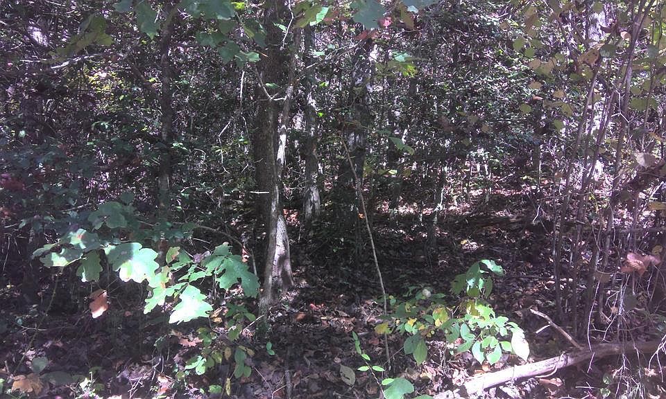 2nd image of 18 Mountaineer Rd