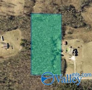 County Road 1552, Baileyton, AL, 35019