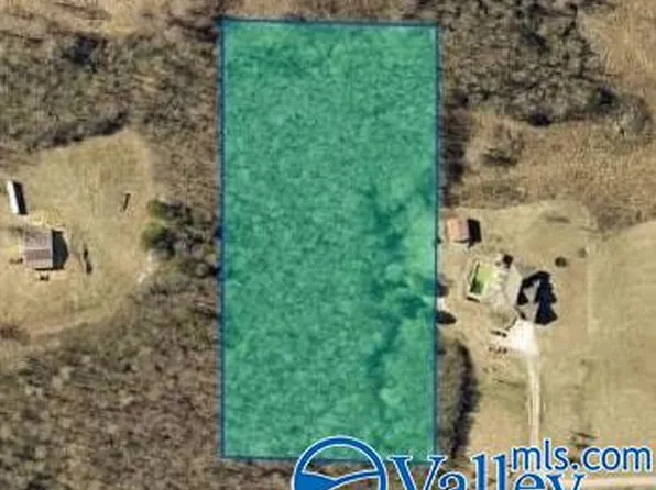 County Road 1552, Baileyton, AL 35019