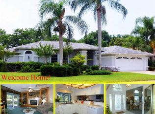 1627 McAuliffe Ln, Palm Harbor, FL 34683