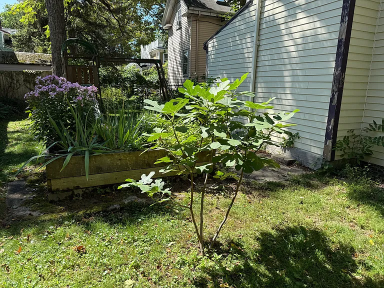 274 Chestnut Ave — Photo 3