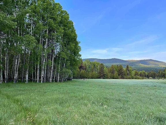 2nd image of 27687 Yaak River Rd