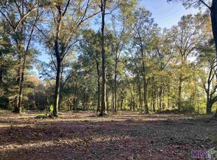 12411 Rouyea Ln LOT 2-A-3A, Saint Amant, LA 70774