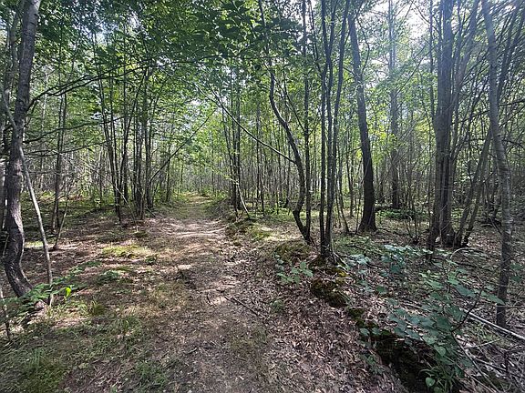 3rd image of 2275 Graham Rd