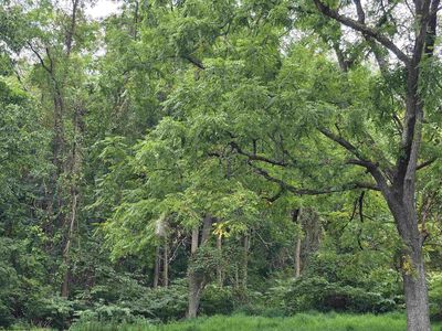 Junkins Ave, Clarksburg, WV, 26301