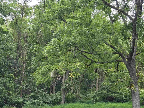 Junkins Ave, Clarksburg, WV 26301