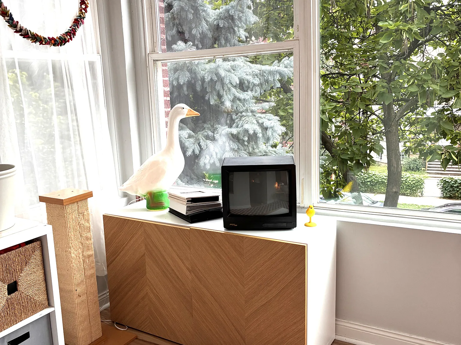 2 bed, $2,950 — Photo 2