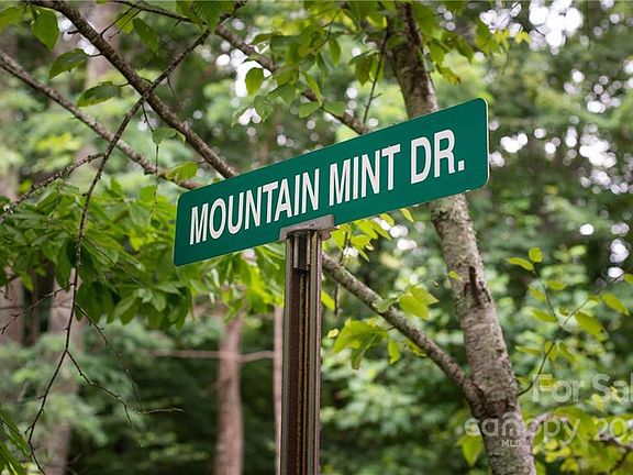 3rd image of 15 Mountain Mint Dr