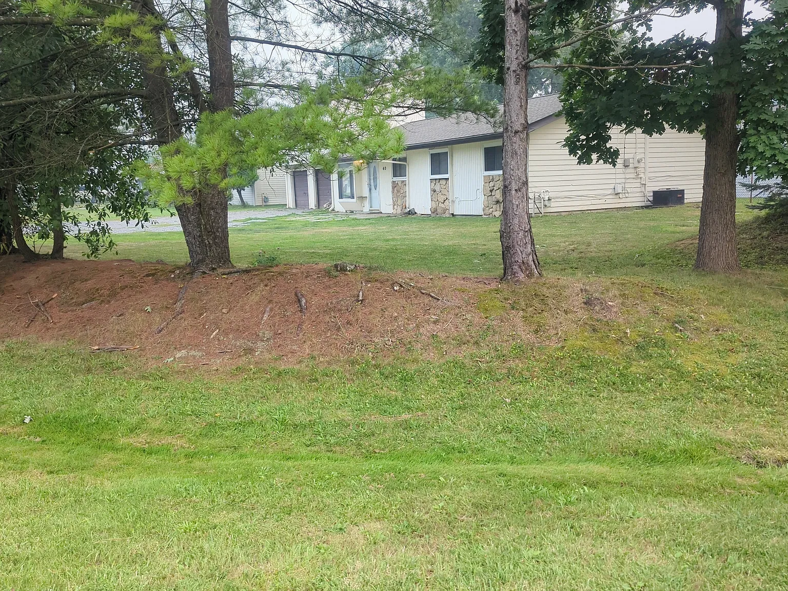 3 bed, 1.5 bath, 1800 sqft, $2,391 — Photo 3