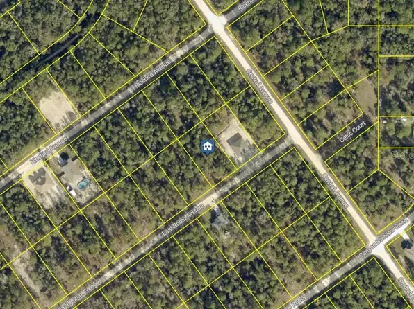 LOT 15 RESORT AVENUE LOT 15, WEEKI WACHEE, FL 34614