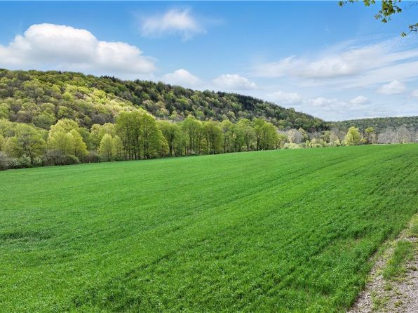 964 Old Mill Rd, Berlin, PA 15530