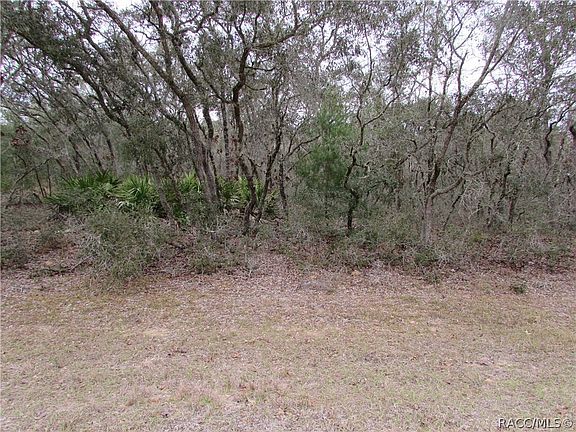 3rd image of 1647 W Belen Dr