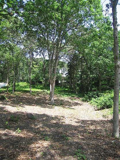 2nd image of 21 Cove Rd N