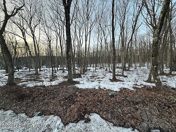 4th image of 311 Rinker Rd