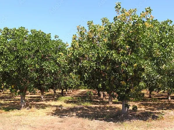 Avenue, Madera, CA 93638