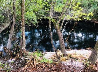 23197 Hassie Johns Rd, Sanderson, FL 32087