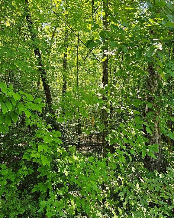 2nd image of LOT 408 Pine St Lot 408
