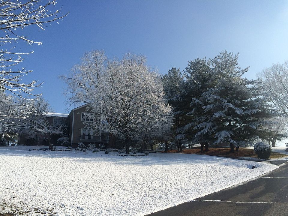 1st image of 254 Trammel Creek Dr