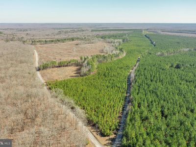 Richards Ferry Rd, Richardsville, VA, 22736