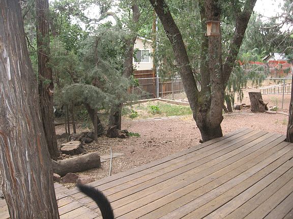 Backyard & Deck