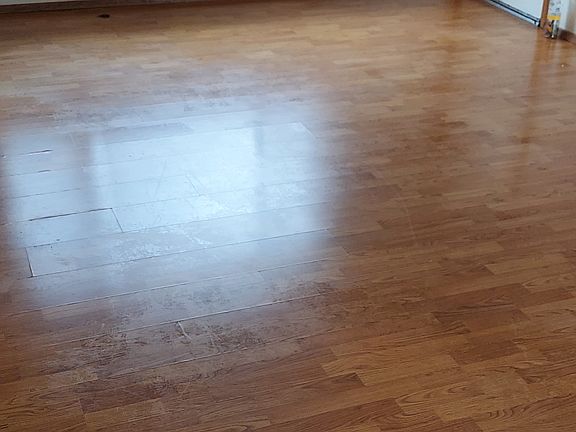 5th image of 772 Thompson Dr