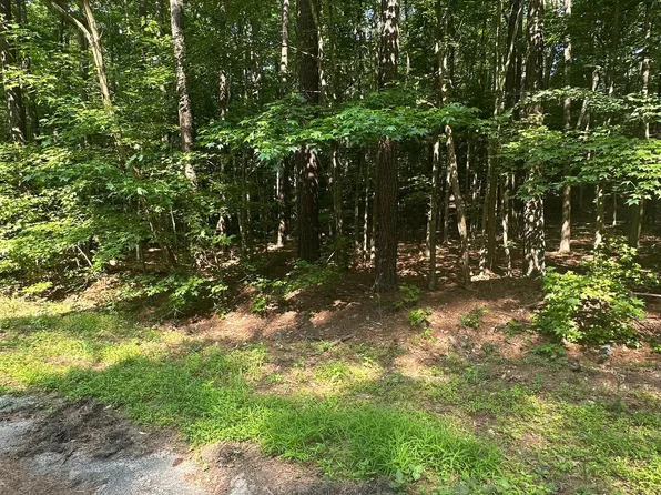 Declaration Dr, Montross, VA 22520