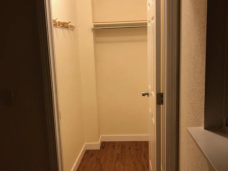 Lower floor bedroom 2 walk-in closet