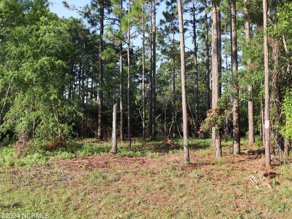 Lot 577 N Lake Drive, Boiling Spring Lakes, NC 28461